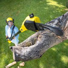 Lawn Pest Prevention in Gholson, TX